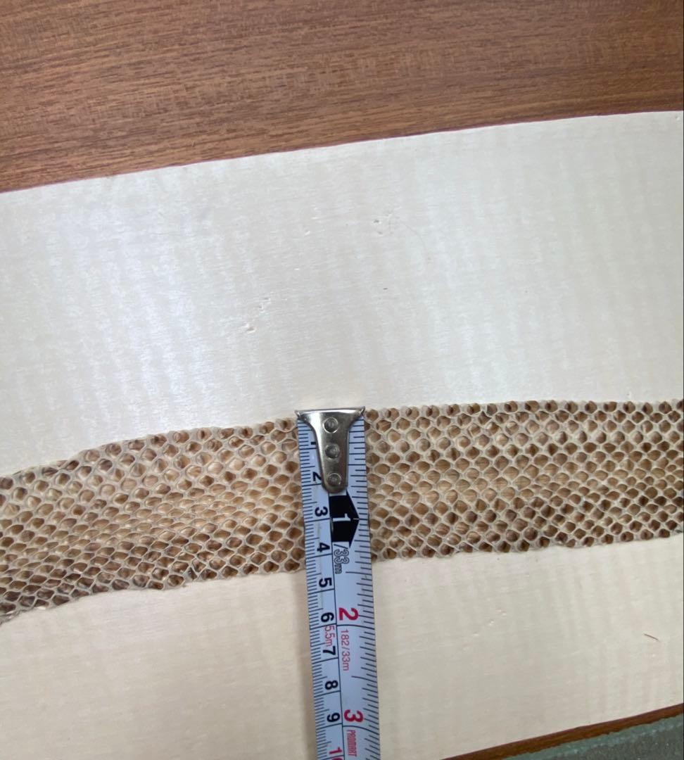 アオダイショウ抜け殻