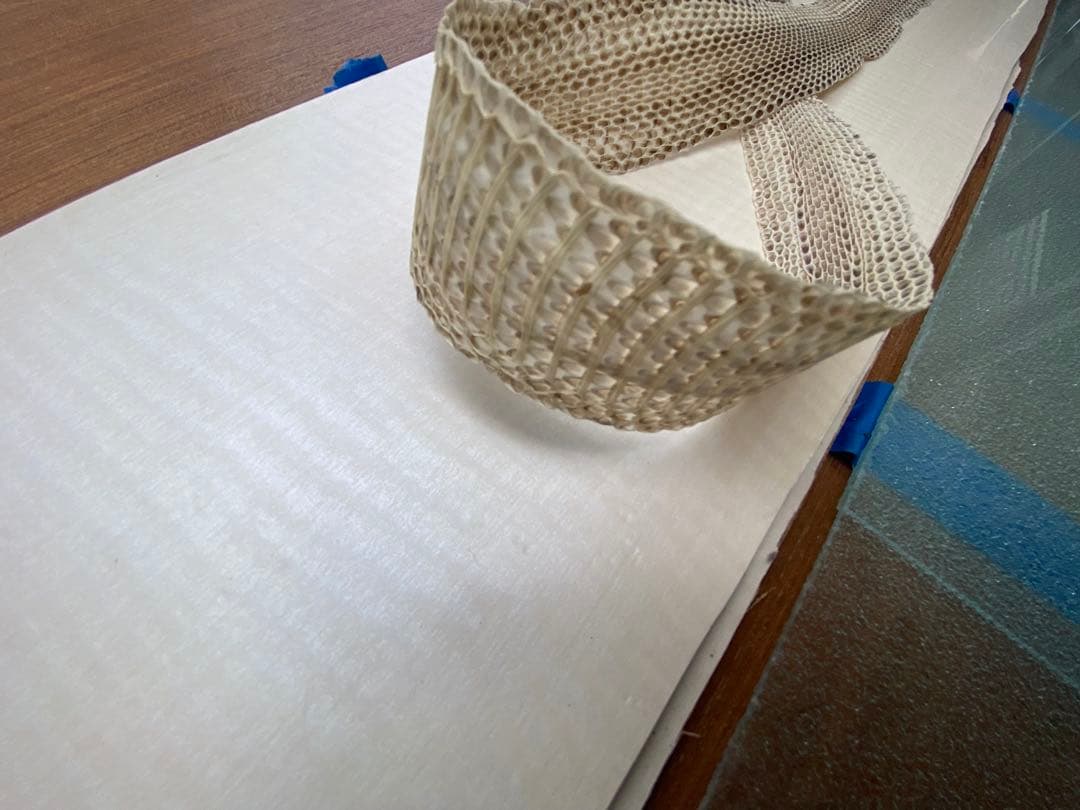 アオダイショウ抜け殻