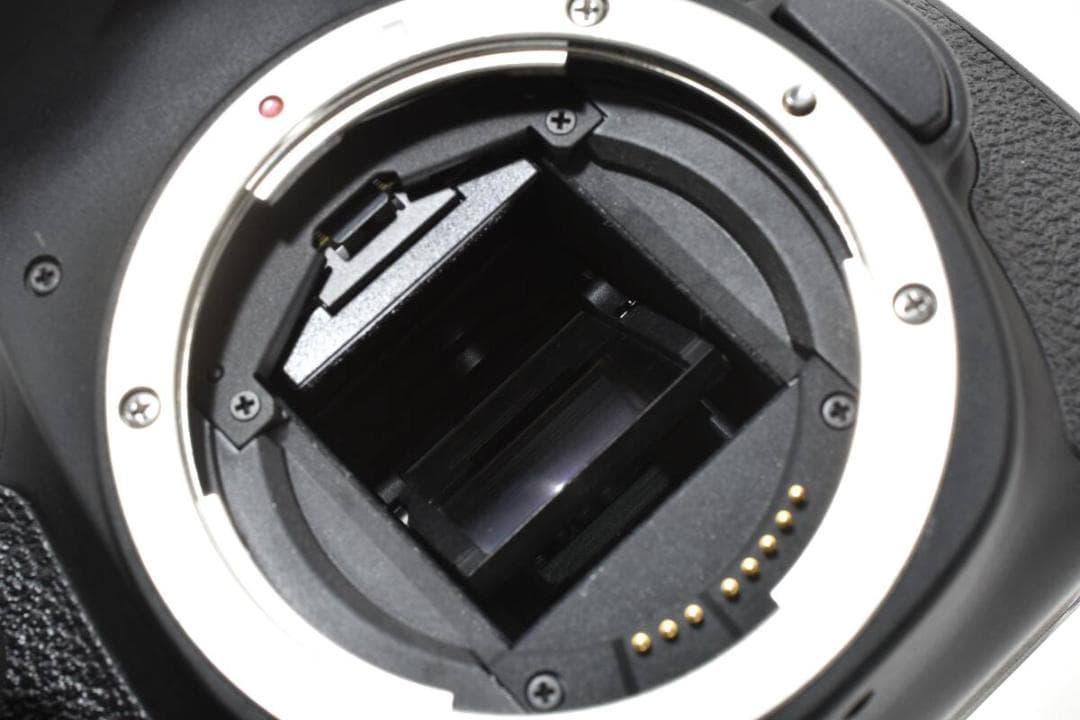 ★極美品・ショット数4341回 ■ キャノン EOS 60D ボディ #664Q