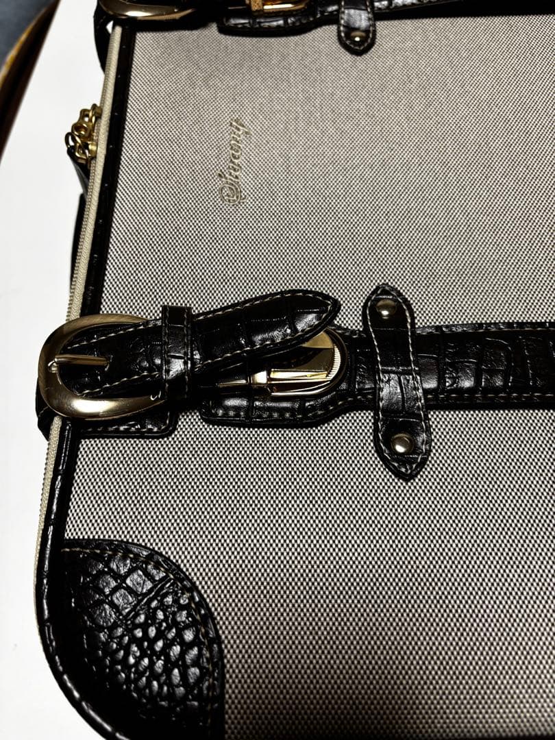 SWANY トランクキャリーバッグ クロコダイル型