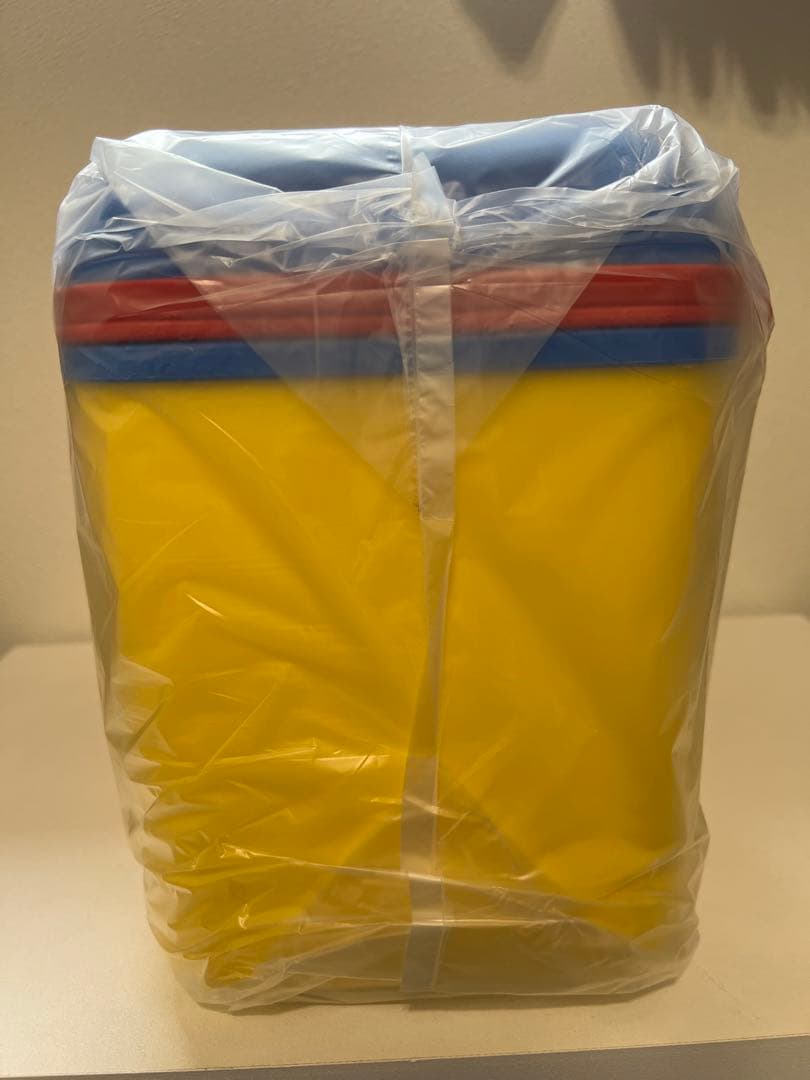 ⭐︎2006年当時モノ❗️⭐︎ポケモンセンターオンライン公式ピクニックセット