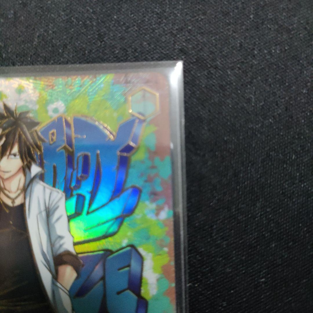 PR+　優勝　命を懸けた冒険 グレイ