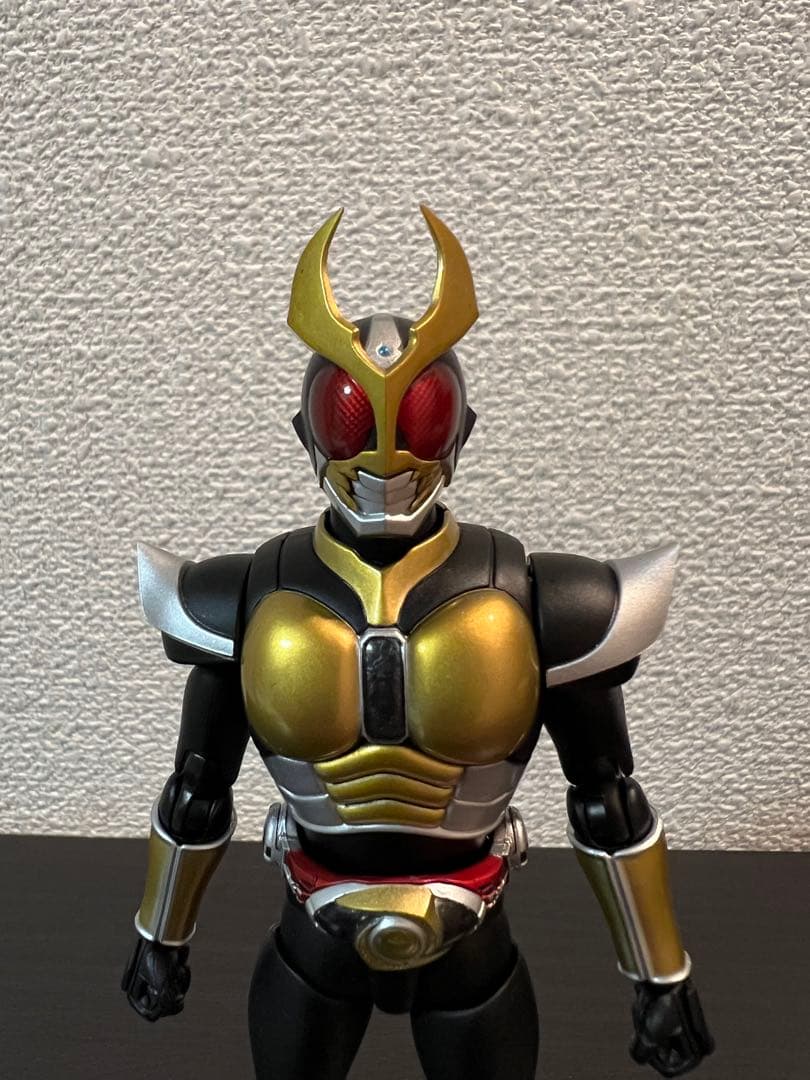 真骨彫製法 仮面ライダーアギト 美中古品 付属品完備