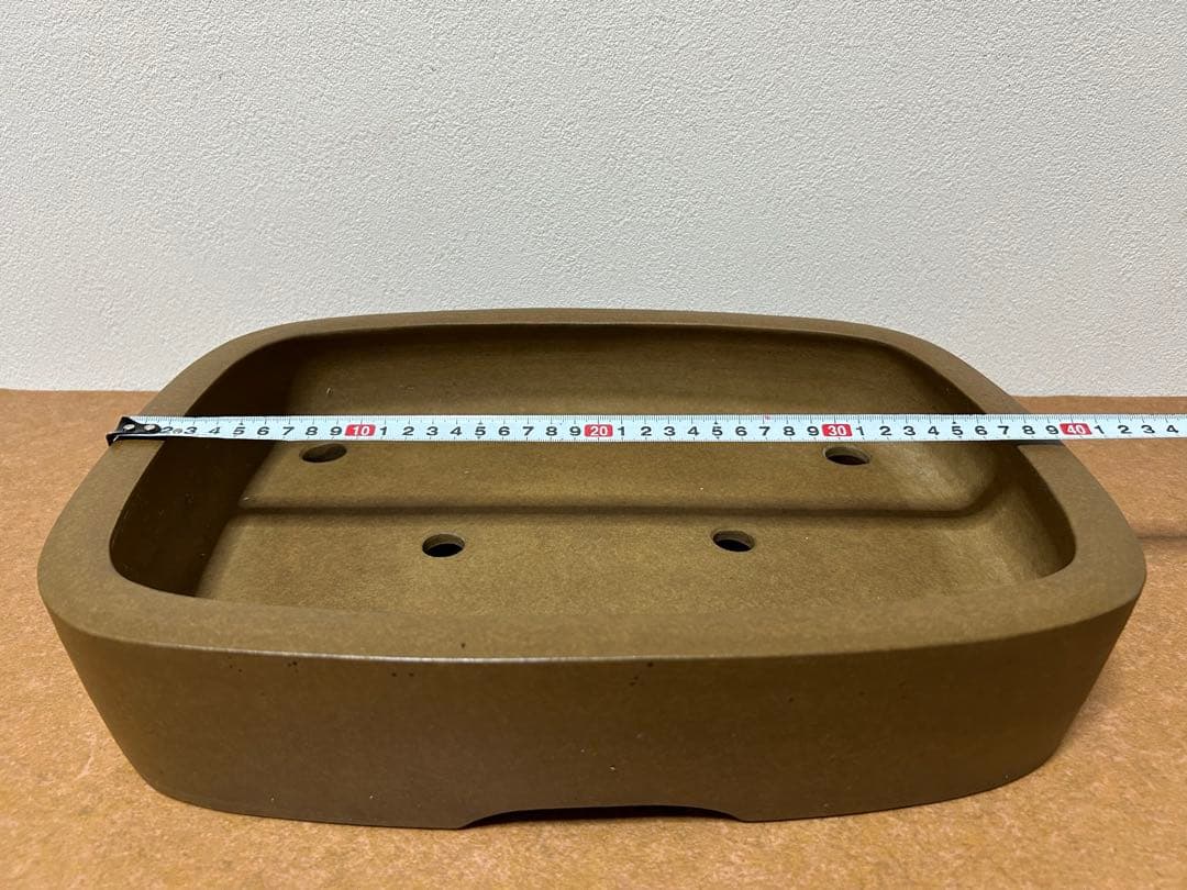 萬留平　盆栽鉢　山野草