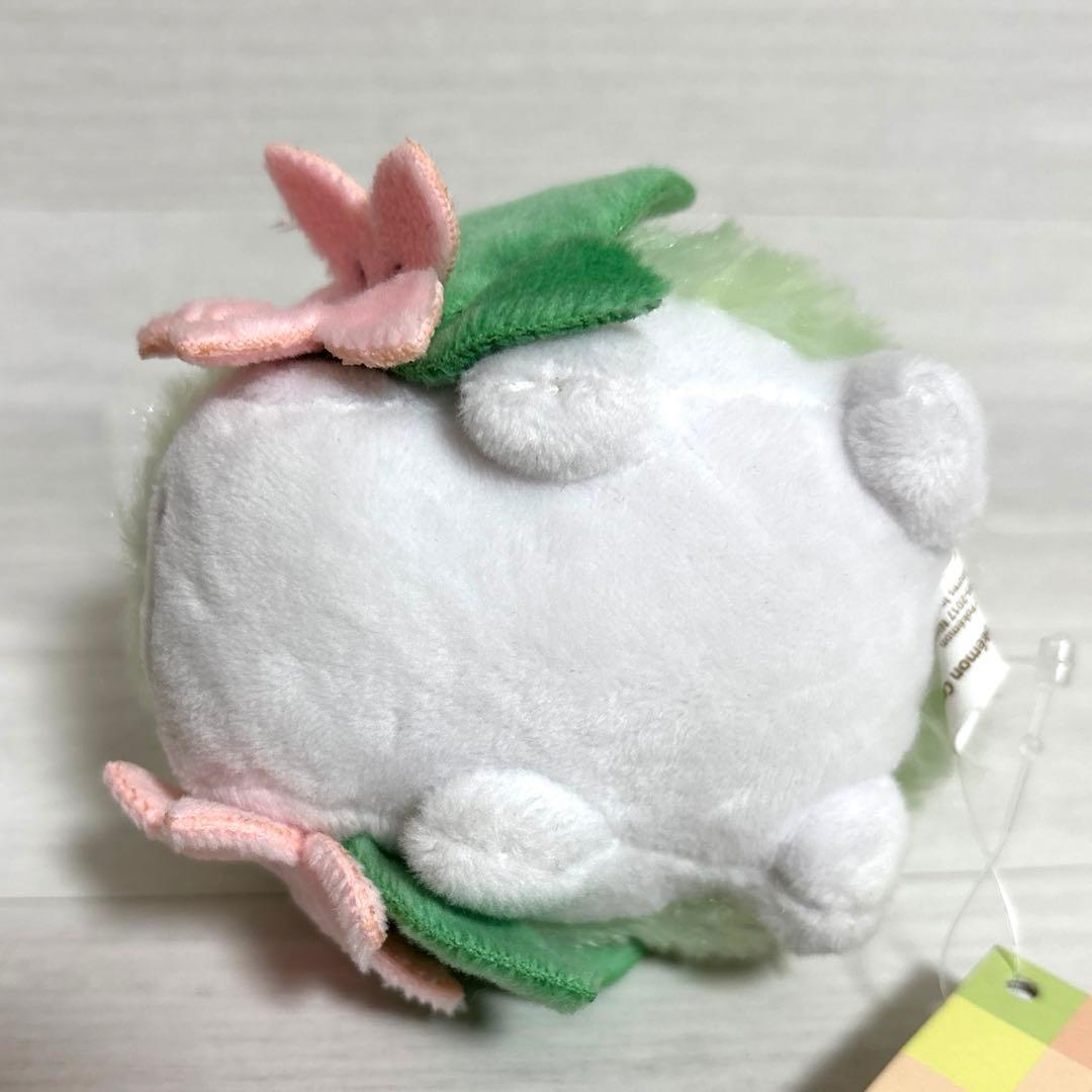 へんしんメタモン シェイミ　マスコット　ポケモンセンター