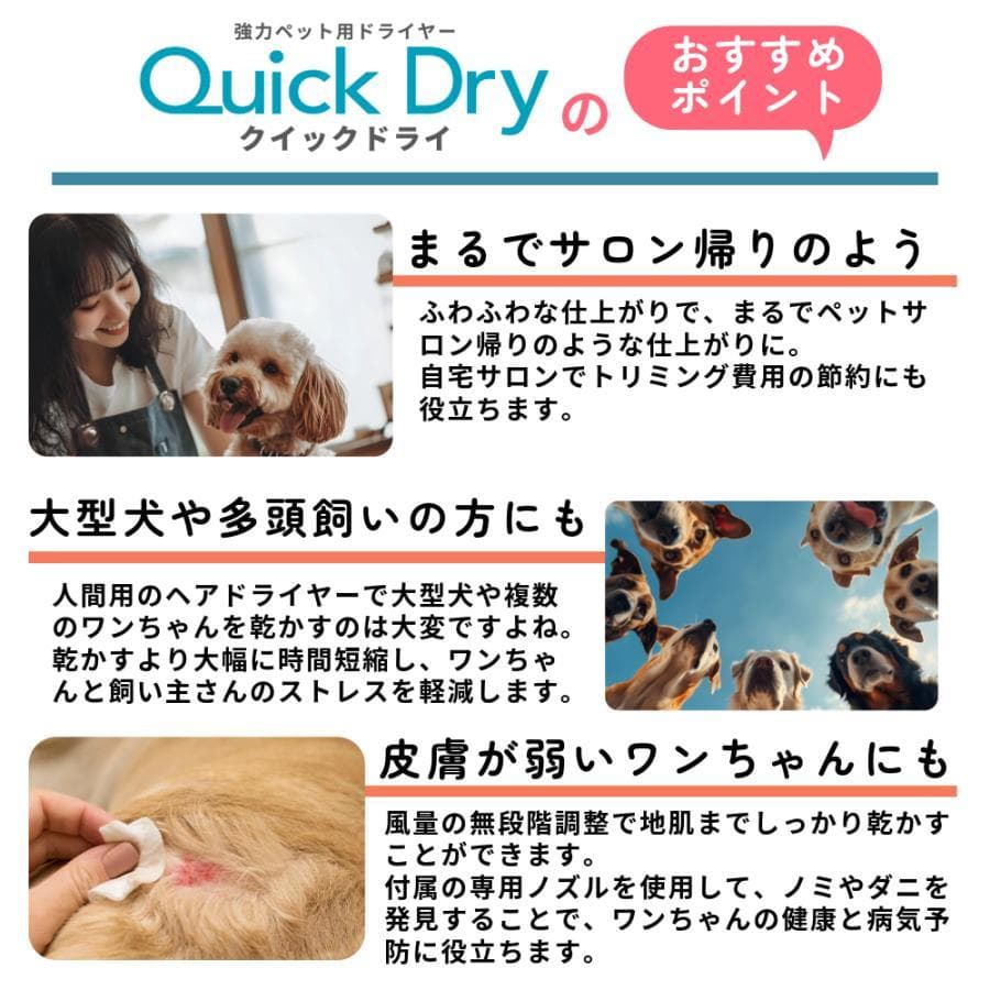 B DOGOne ペットドライヤー 犬 クイックドライ 強風 ブラック