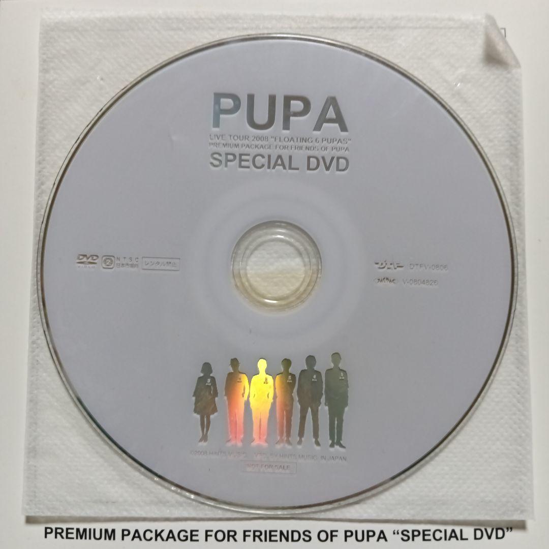 PUPA 2008 LIVE TOUR 非売品DVD 高橋幸宏 原田知世