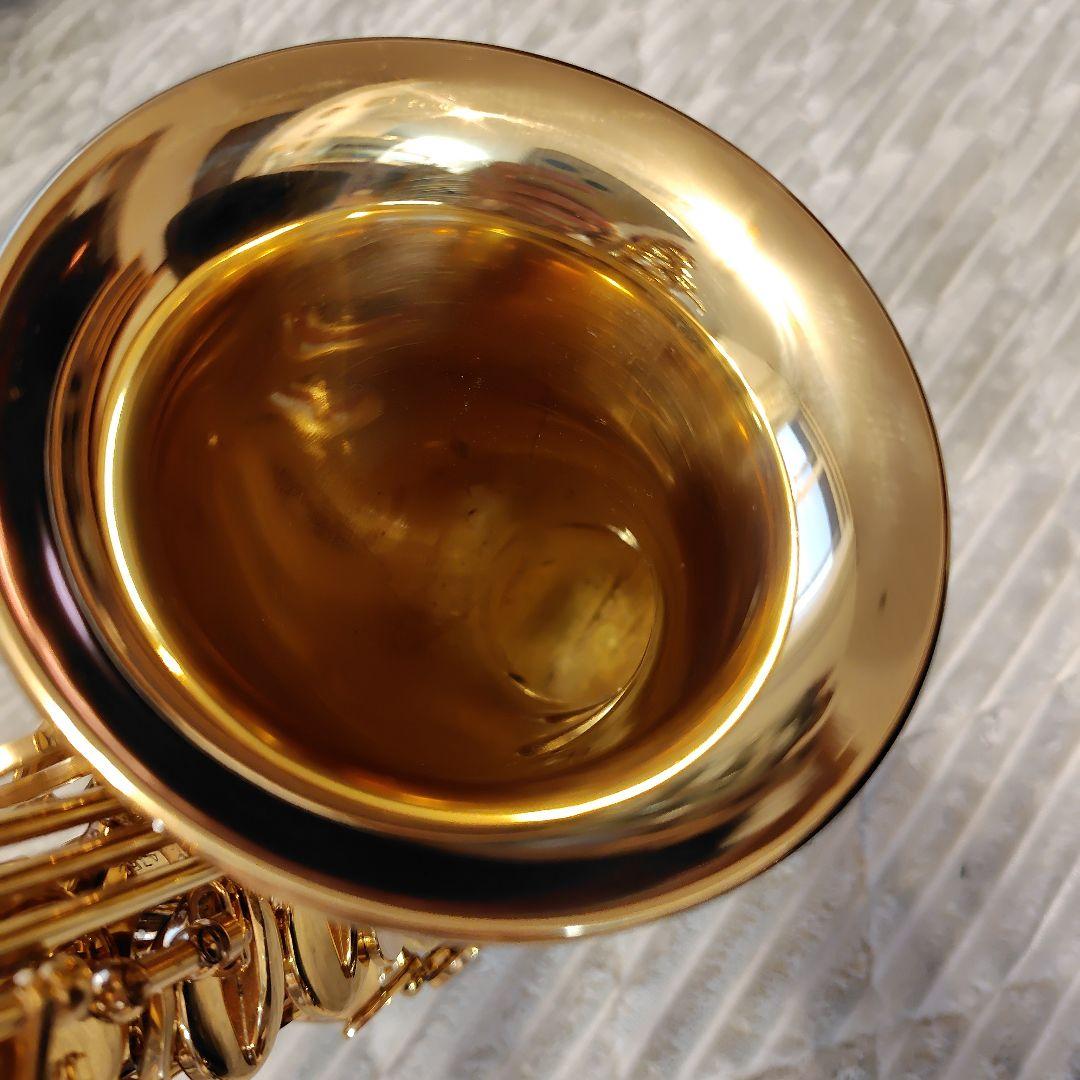 MAVIS メイビス アルトサックス ケース付き