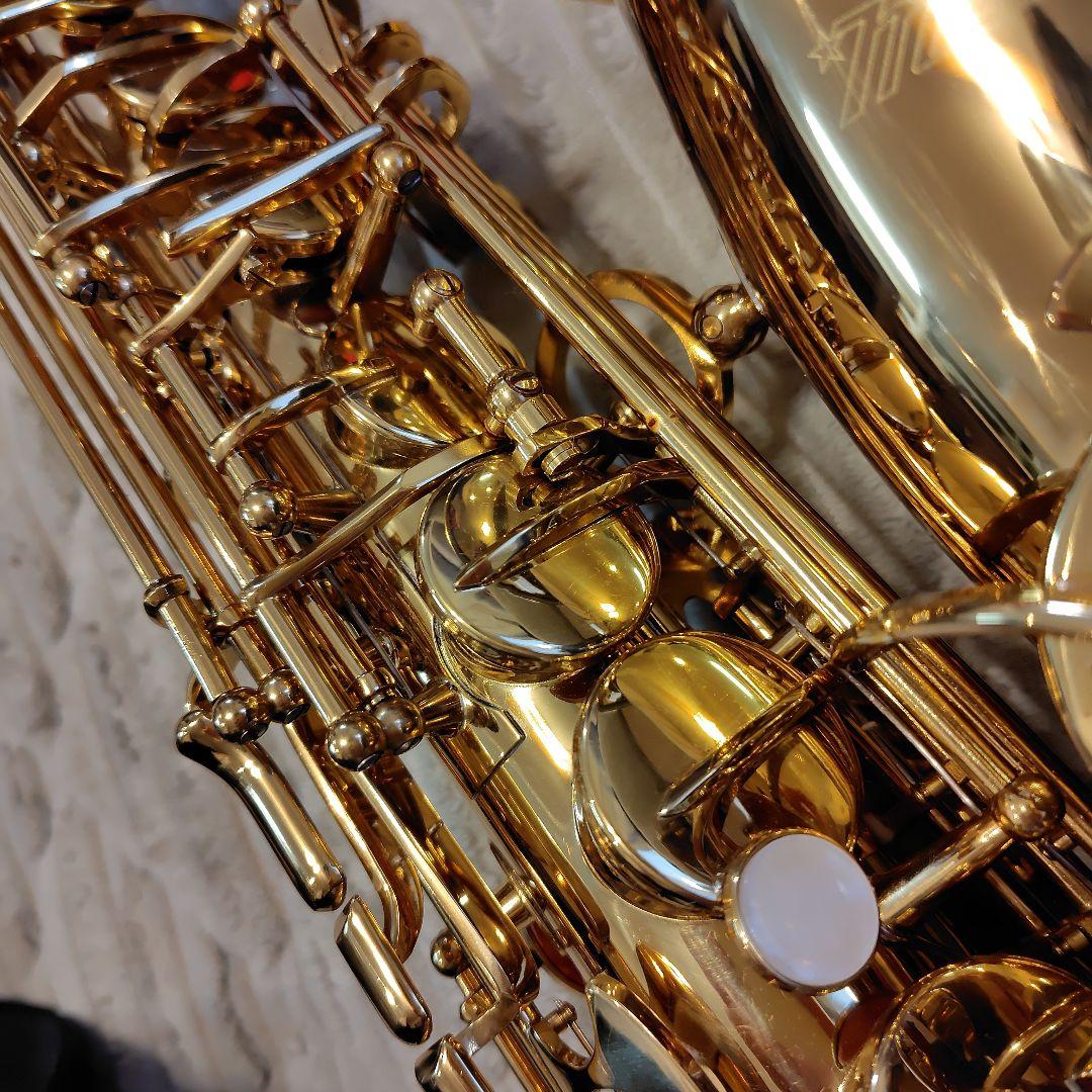 MAVIS メイビス アルトサックス ケース付き