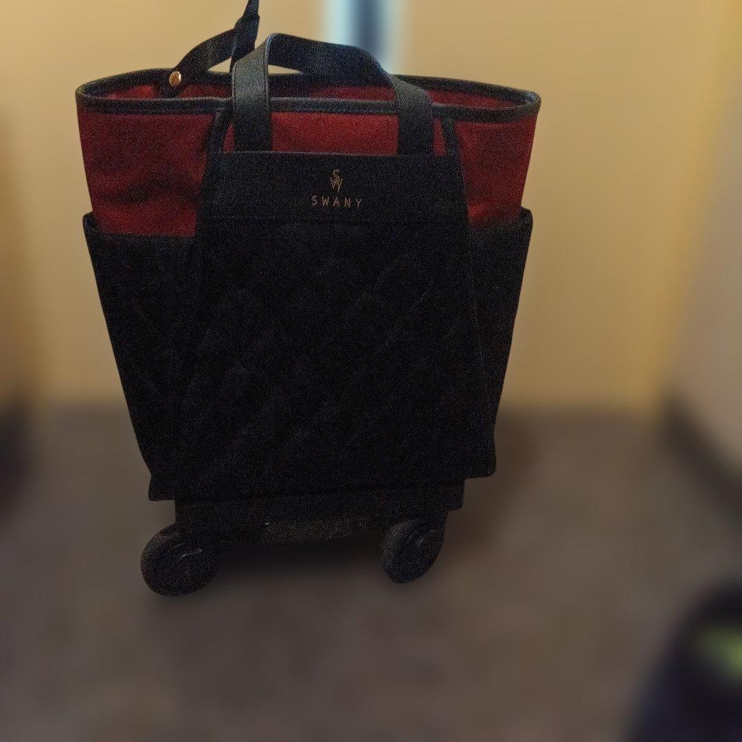 SWANY スワニー　キャリーバッグ D-589 プーフォ M21