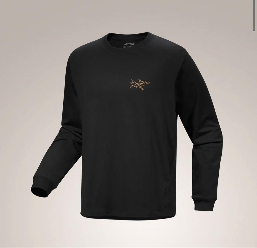 【超人気】ARC’TERYX アークテリクス クラッグ コットン ロンT