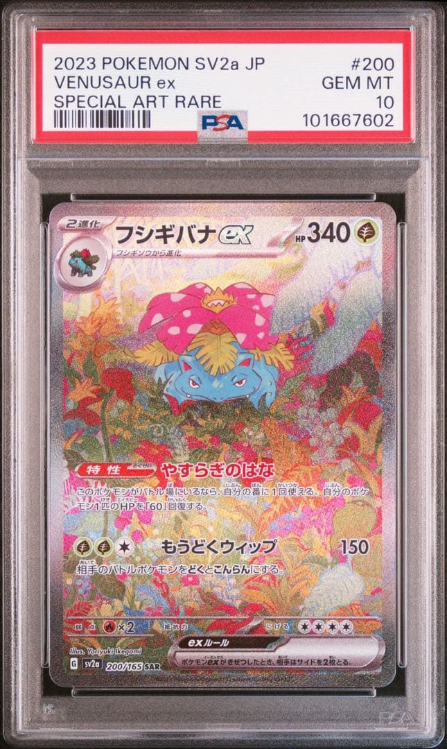 【PSA10 3連番】御三家SAR リザードン フシギバナ カメックス 151
