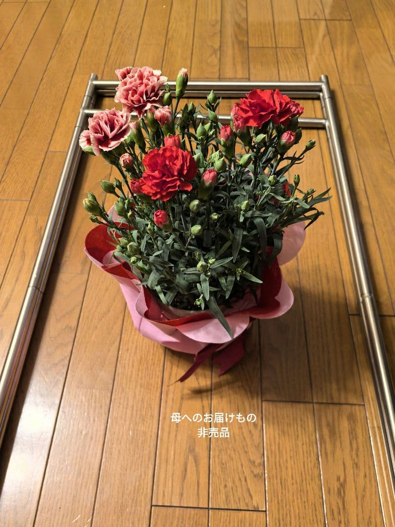 ボブ・ディランの伝記映画『名もなき者／A COMPLETE UNKNOWN』