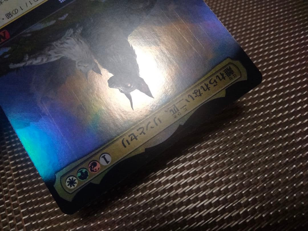 確認用】M21 BOXプロモFOIL 離れられない二匹、リンとセリ 日本語 1枚