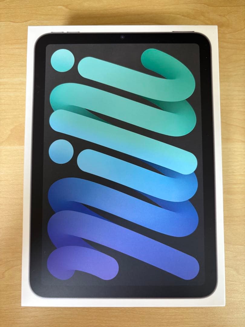 【こー】iPad mini Wi-Fi+Cellular 256GB