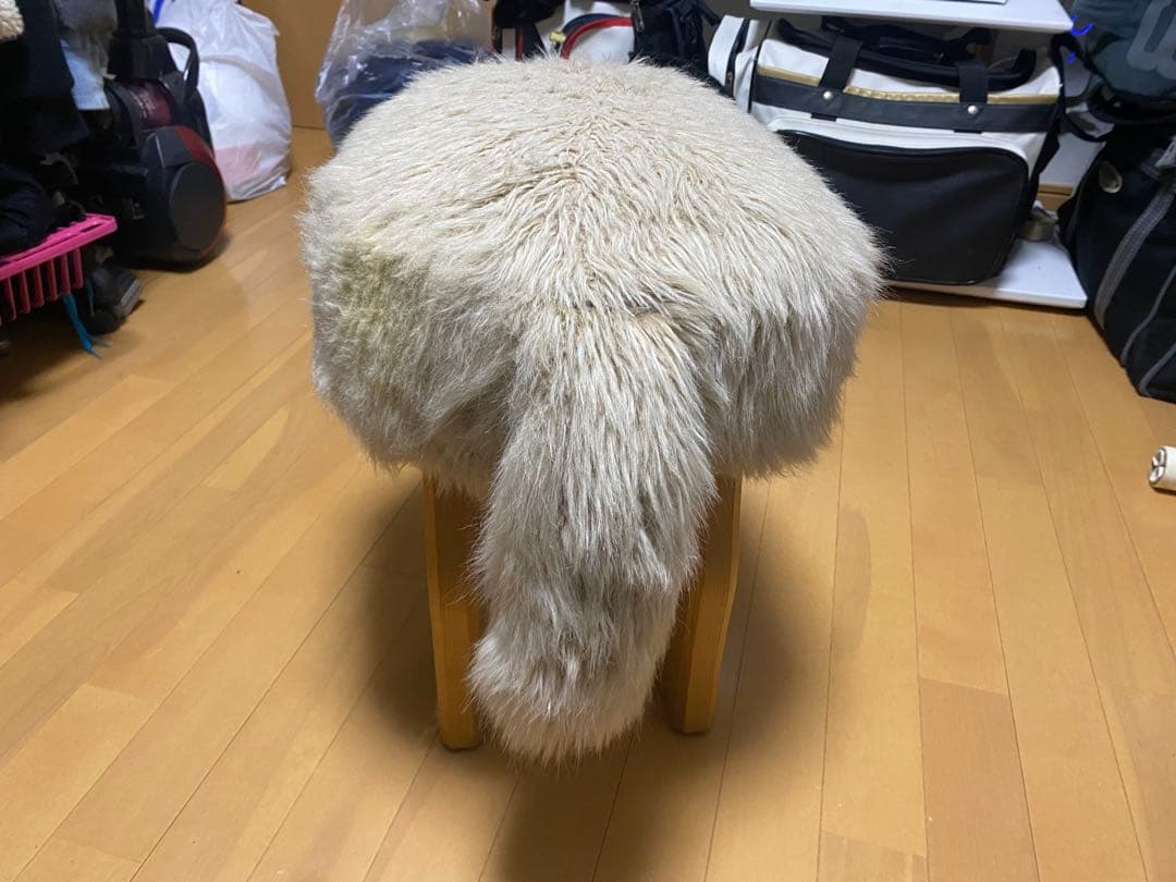 匠工芸　アニマルスツール　コヨーテ　L size