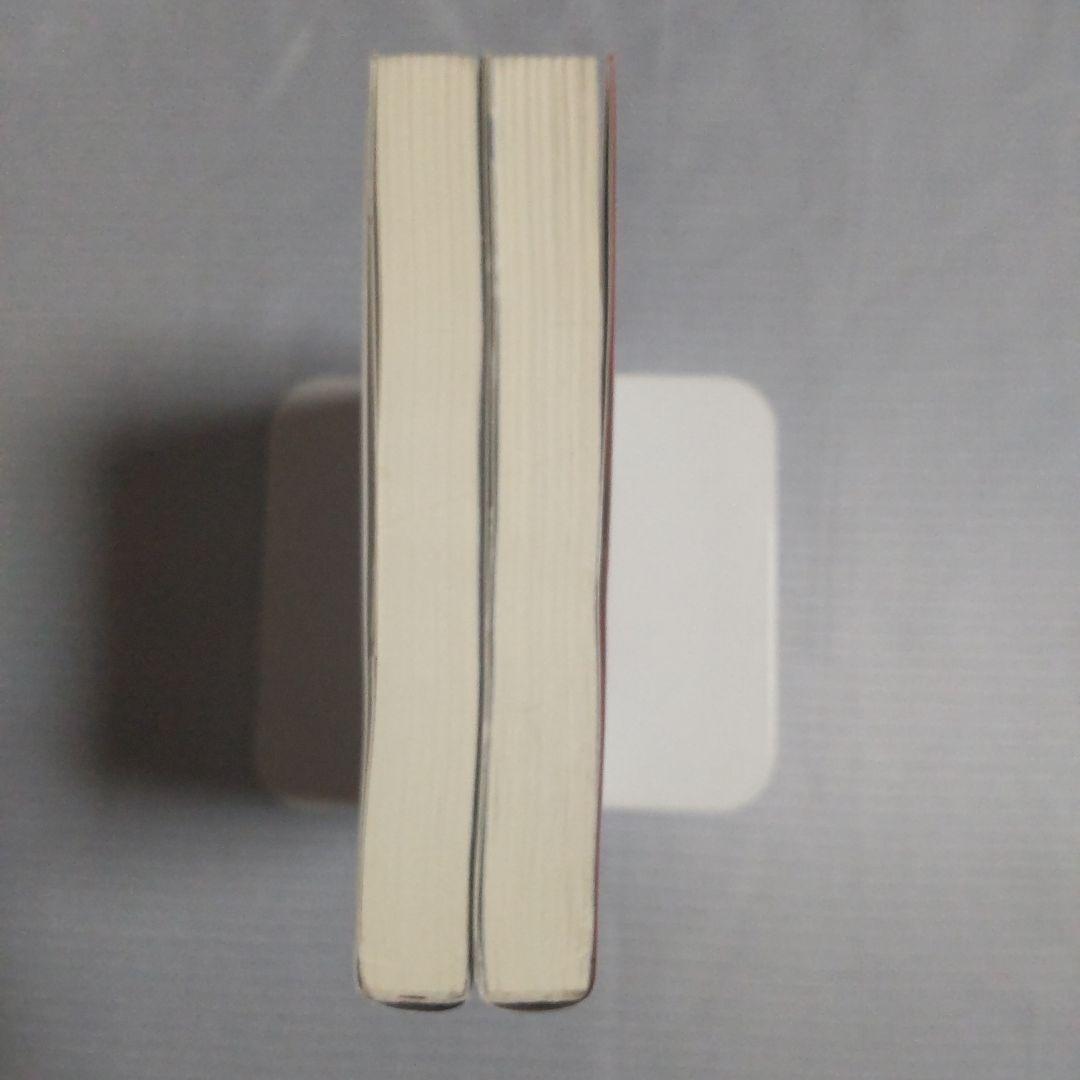 パイレーティカ 女海賊アートの冒険 上巻下巻セット タニス・リー ルルル文庫