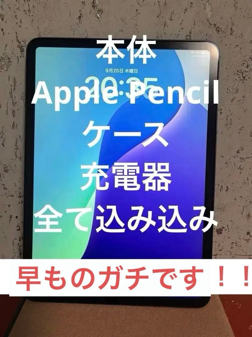 iPadPro 第2世代 11インチ 256GB Appleペンシル2