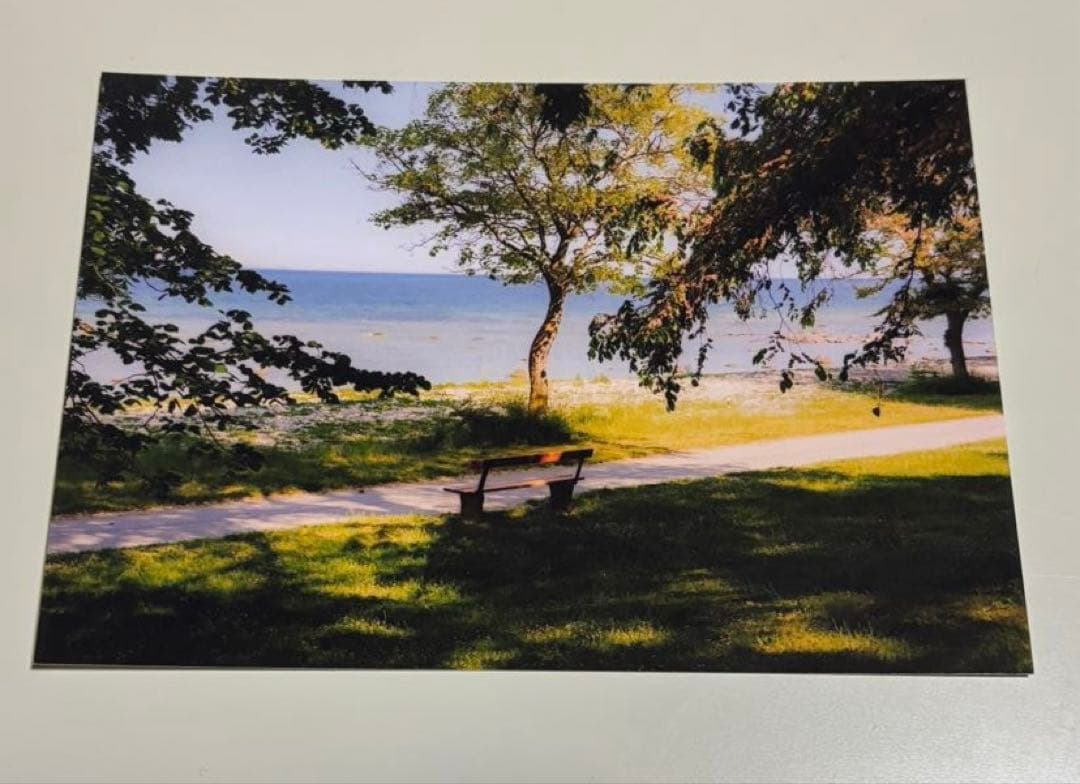 【希少】ヨルシカ 月光再演 盗作 ライブ入場特典 セット