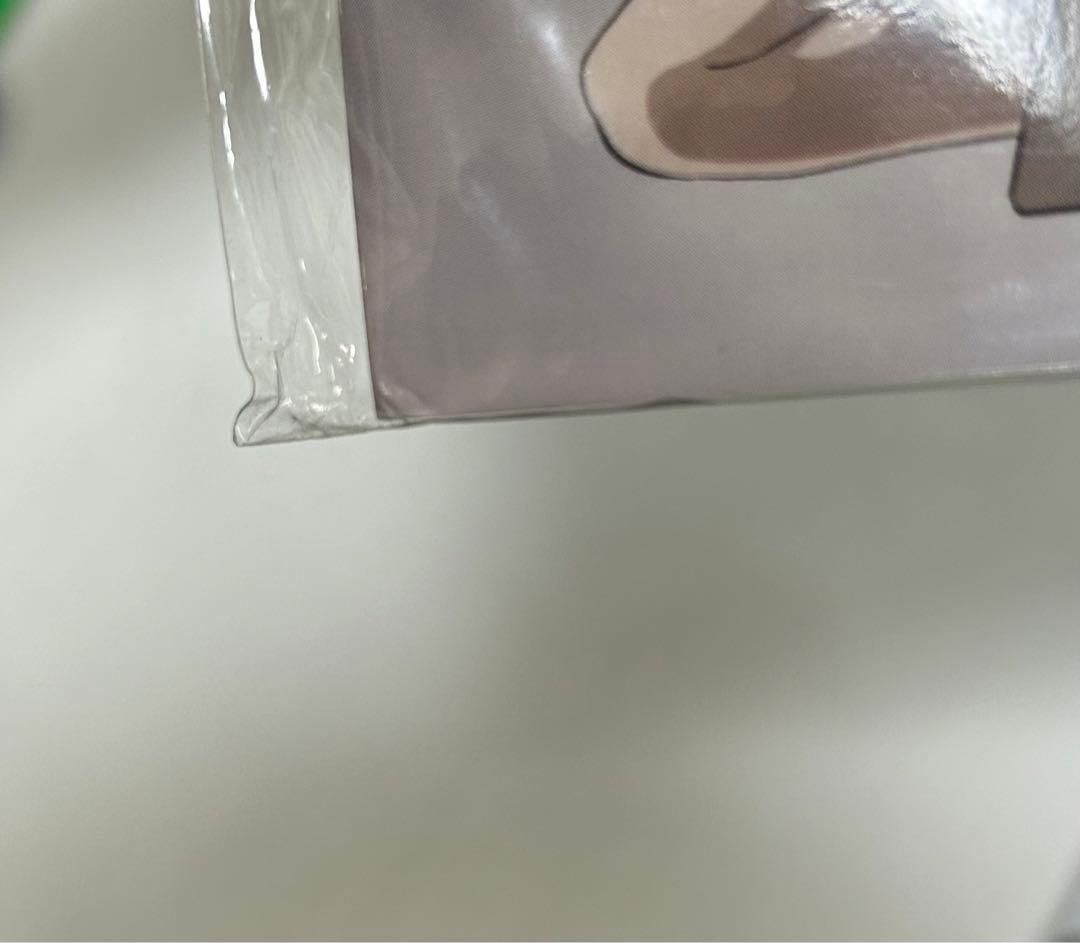 蒼穹のファフナー リーフレット パンフレット 設定資料集 画集 前売り券