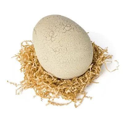 【新品】タカラトミー うまれて！ウーモ ジュラシックワールド T-レックスエッグ