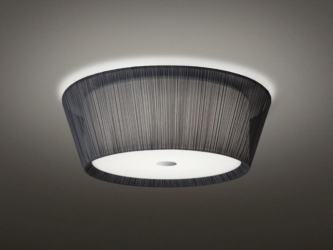 【お値下げ！訳あり】BAUMN Ⅱ／バウムⅡ／シーリングライト