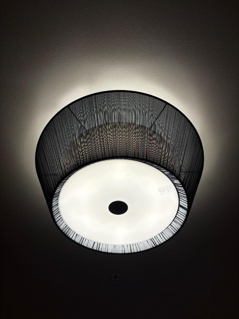 【お値下げ！訳あり】BAUMN Ⅱ／バウムⅡ／シーリングライト