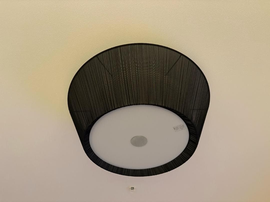 【お値下げ！訳あり】BAUMN Ⅱ／バウムⅡ／シーリングライト