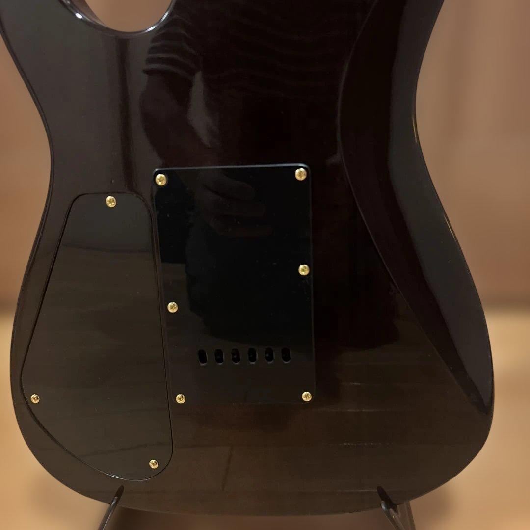 【中村さん専用】Bill Lawrence by Morris GOTOHペグ