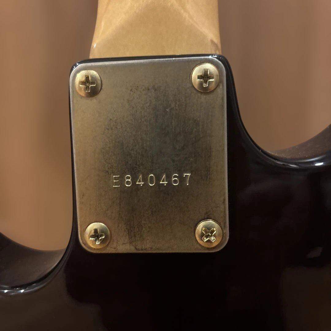 【中村さん専用】Bill Lawrence by Morris GOTOHペグ