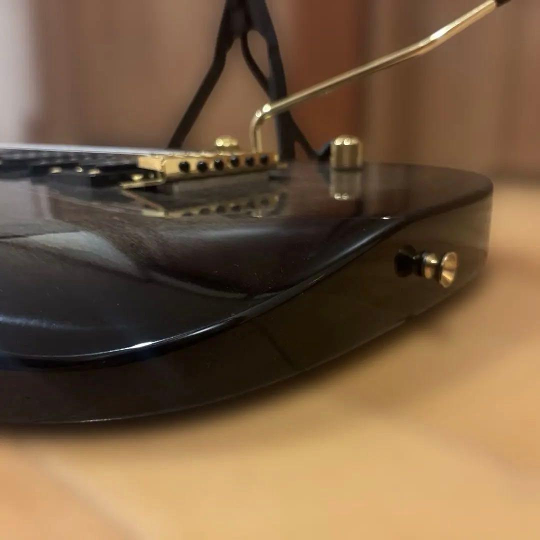 【中村さん専用】Bill Lawrence by Morris GOTOHペグ