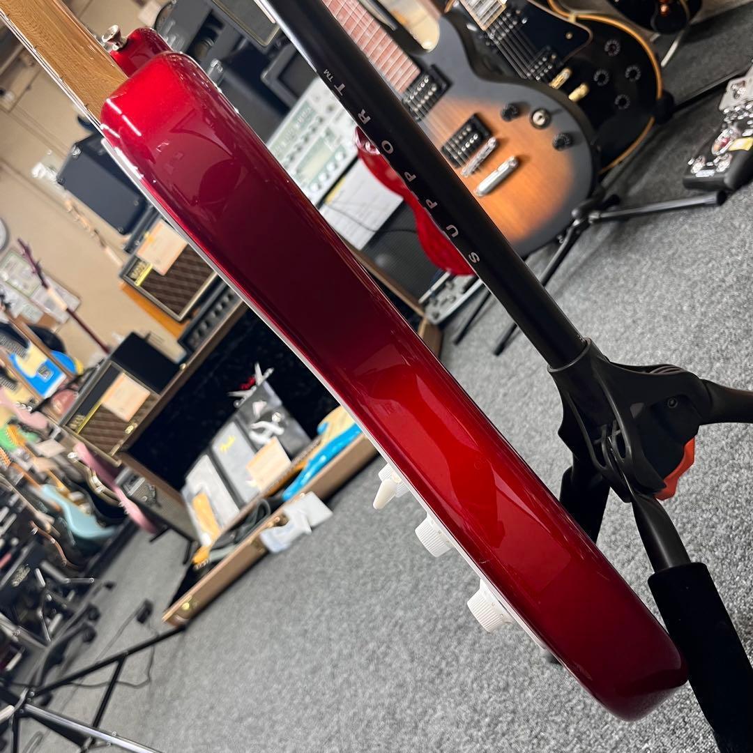 【10425】 TOKAI goldstar sounds