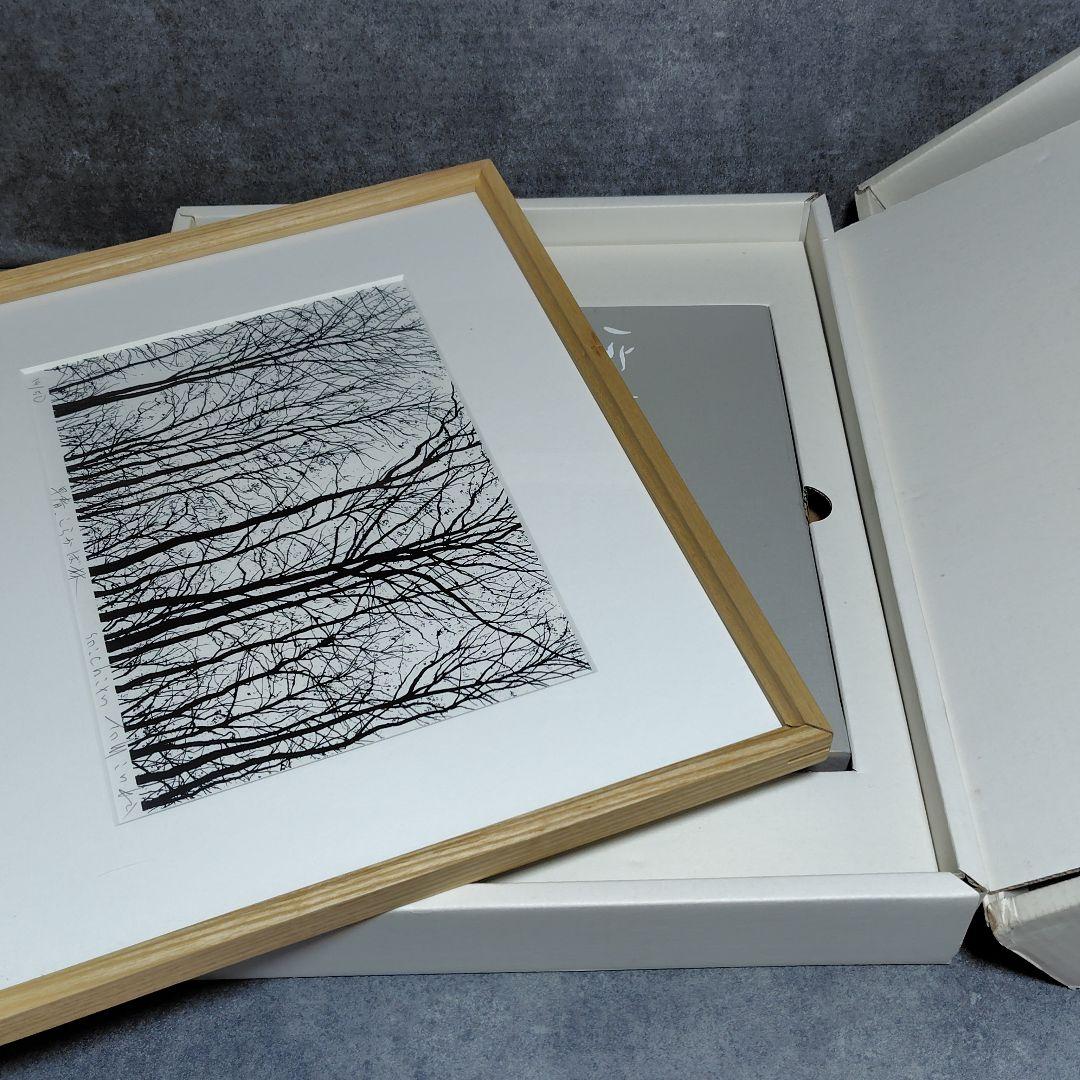 シルクスクリーン 富岡惣一郎 早春 しらかば林 限定50部 日本経済新聞社発行