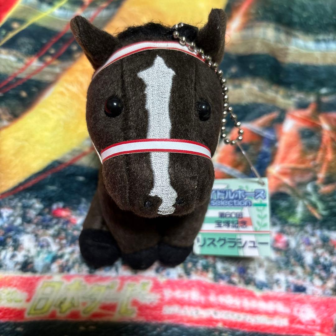 リスグラシュー　宝塚記念　アイドルホース　Sサイズ