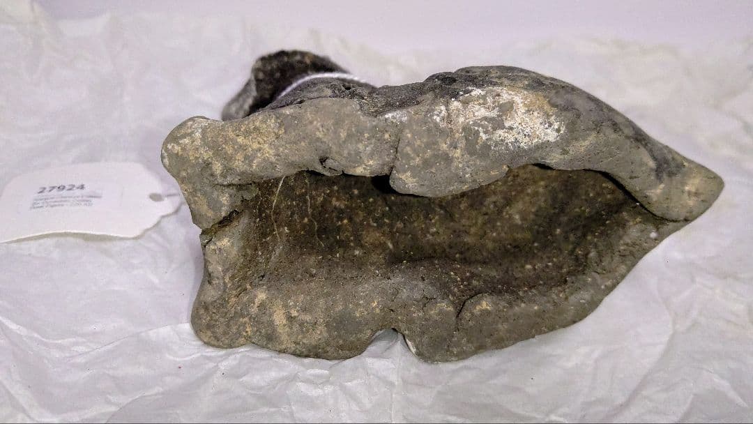 六朝時代 動物俑 埋葬品 古代中国 土偶