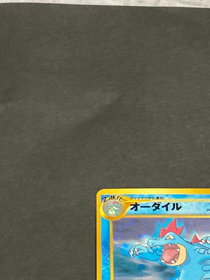 《最終値下げ》《美品》旧裏 プロモセット バクフーン　オーダイル　メガニウム