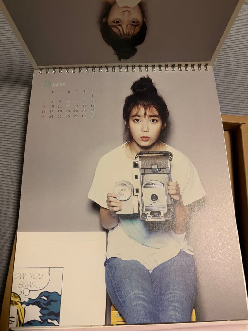 IUカレンダー セット2013 ⭐︎シーズングリーティングIU⭐︎아이유