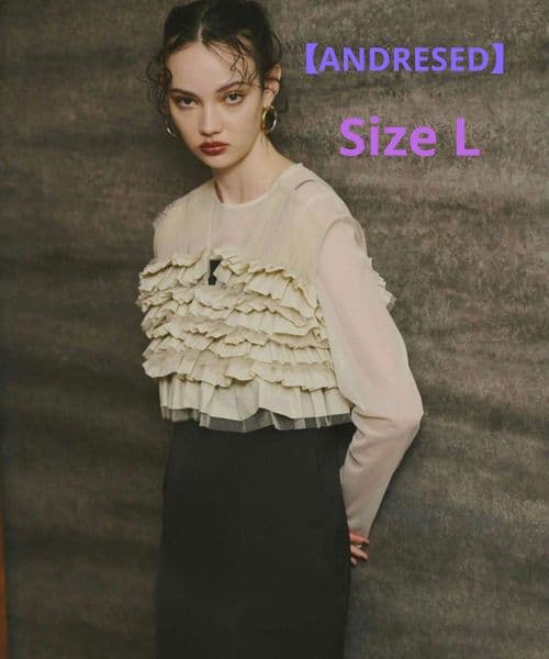 ANDRESD タフタチュール　シアートップスワンピース