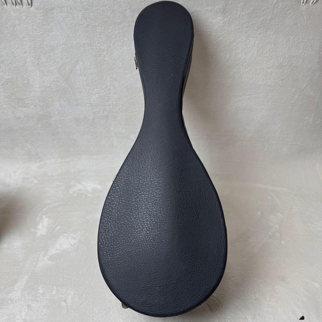 【美品】スズキ M-30 マンドリン ハードケース付き