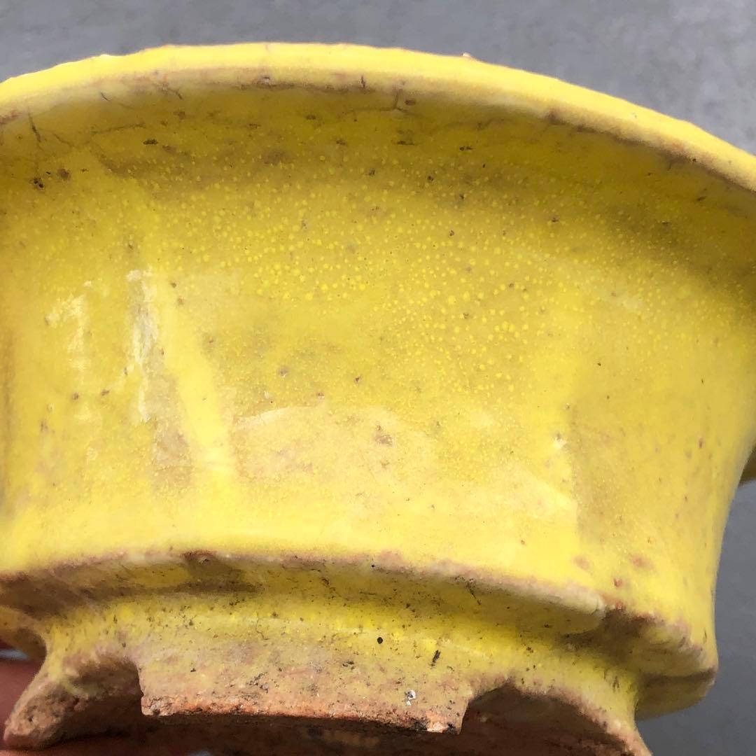 446.春嘉 黄釉丸鉢 盆栽鉢 植木鉢 13.5*6cm