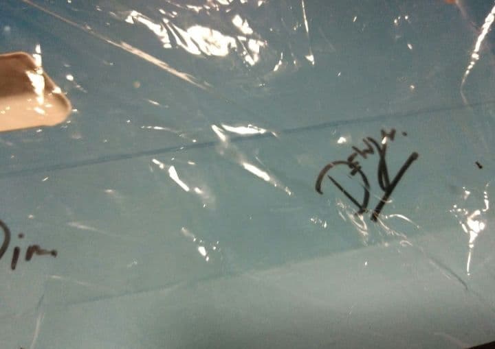 dutchmill F4　ぬいぐるみセット brightwin