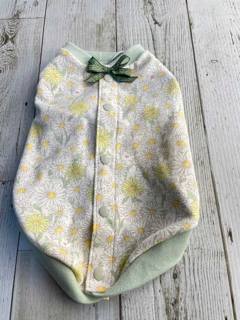 デイジー柄春カラー