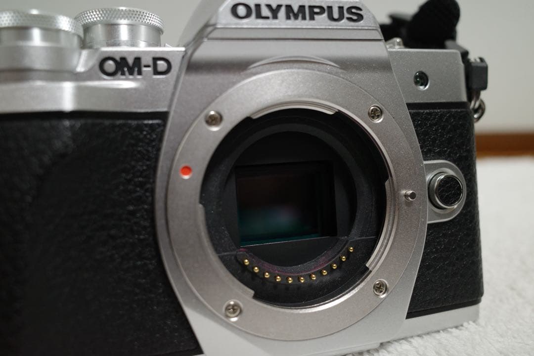OLYMPUS OM-D E-M10 Mark III ボディ+周辺アクセサリー