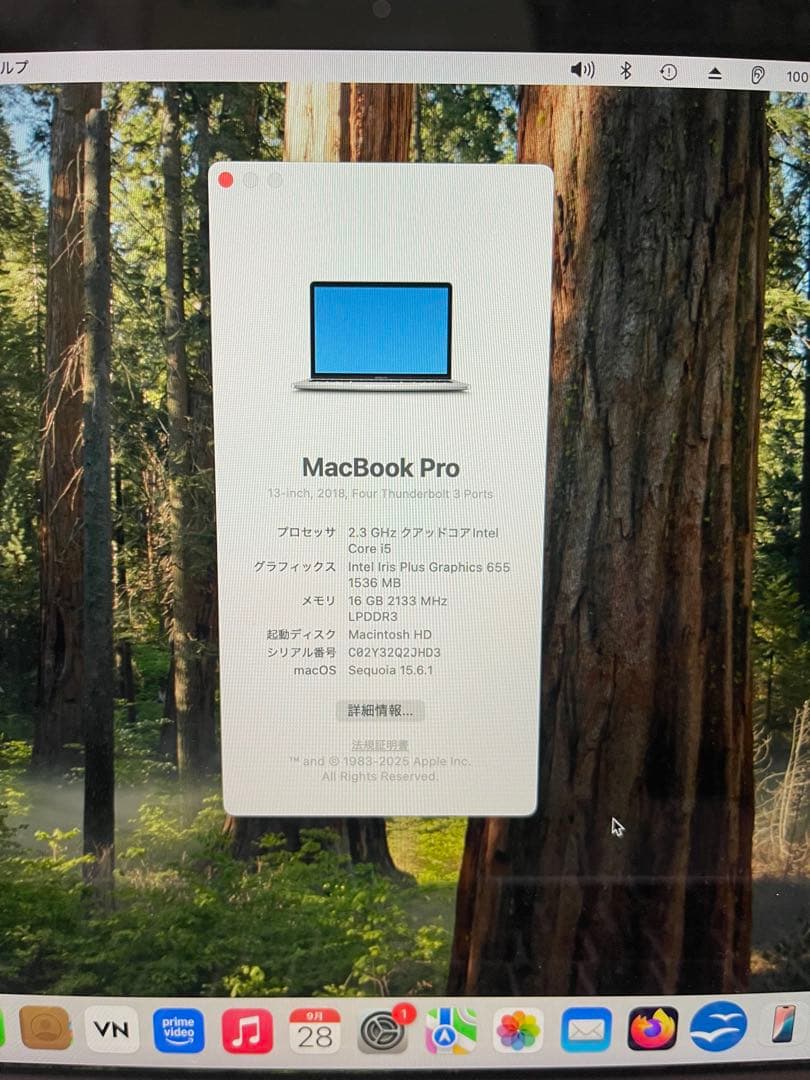 MacBook Pro 2018 メモリ16GB SSD512GB ジャンク