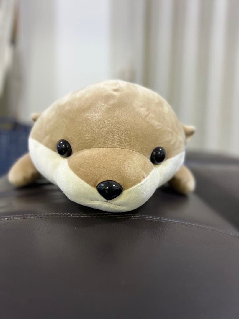 カワウソ　ぬいぐるみ　ハッピーマリン　特賞　新江ノ島水族館