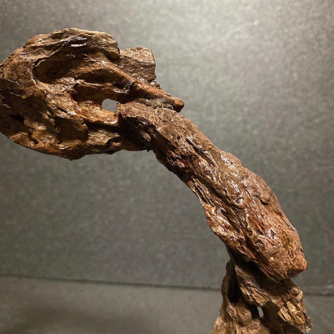 ◎気孔石 アート 一点もの インテリア 天然