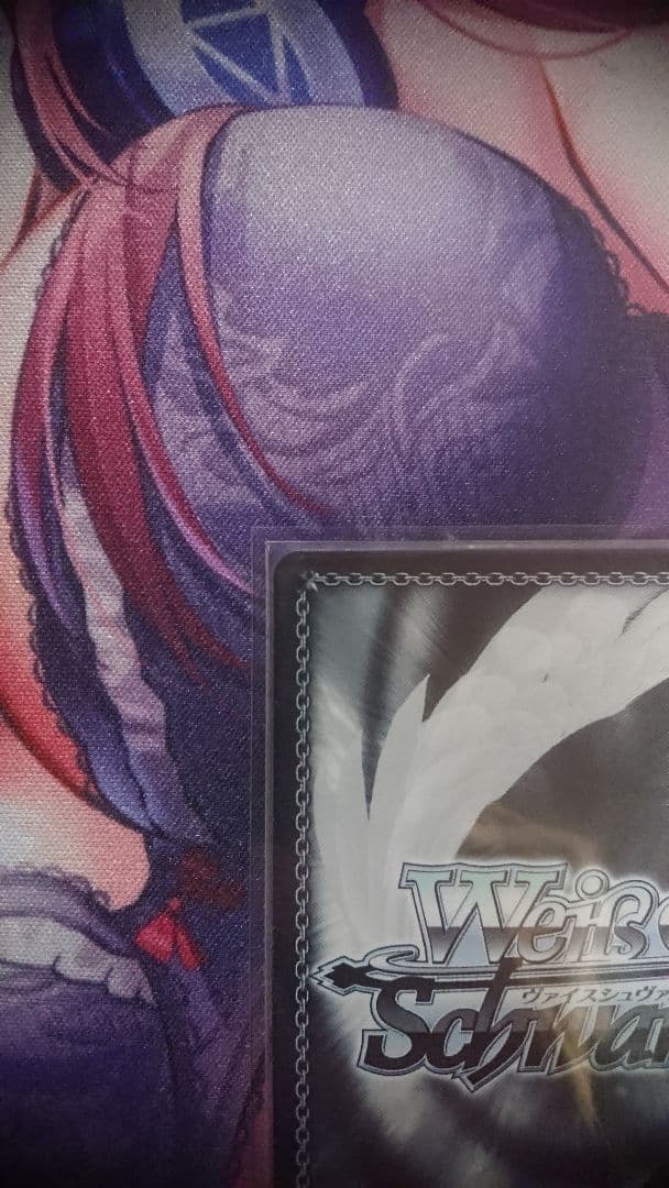 WS Reゼロから始める異世界生活 かけがえのない存在 レム SEC＋ サイン