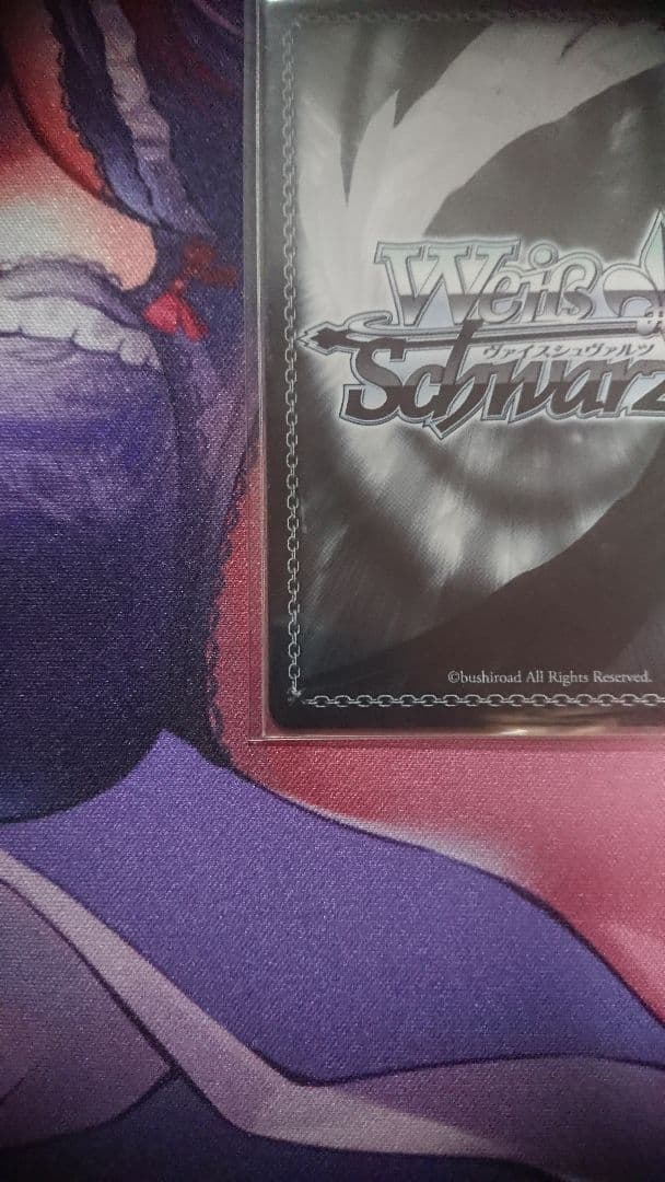 WS Reゼロから始める異世界生活 かけがえのない存在 レム SEC＋ サイン