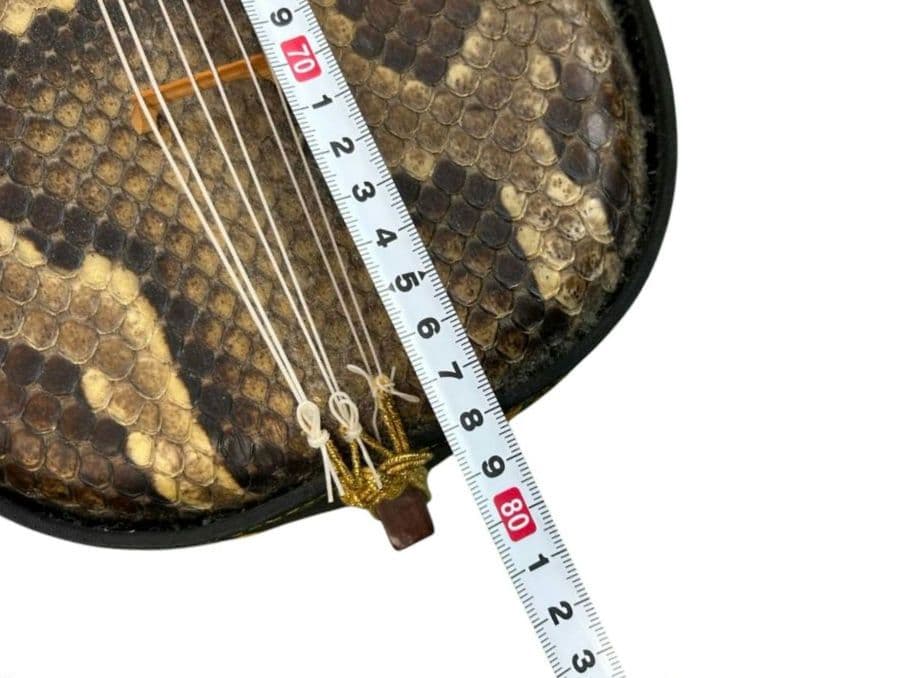 沖縄三線 六線 ヘビ柄 本革 強化張り ハードケース付