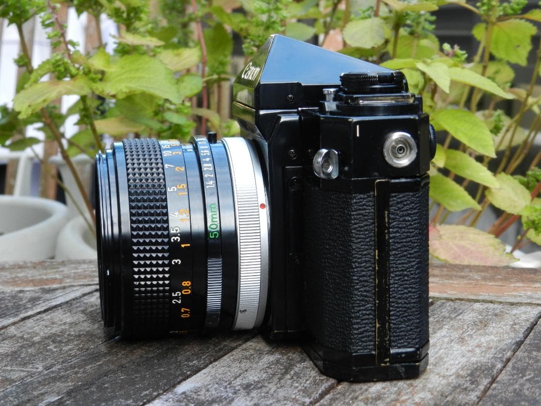 美品　Canon F-1+50mm 1.4 ssc S.S.C 即撮影可